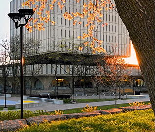 Image-Mar-05-2026-05-43-54-0432-AM