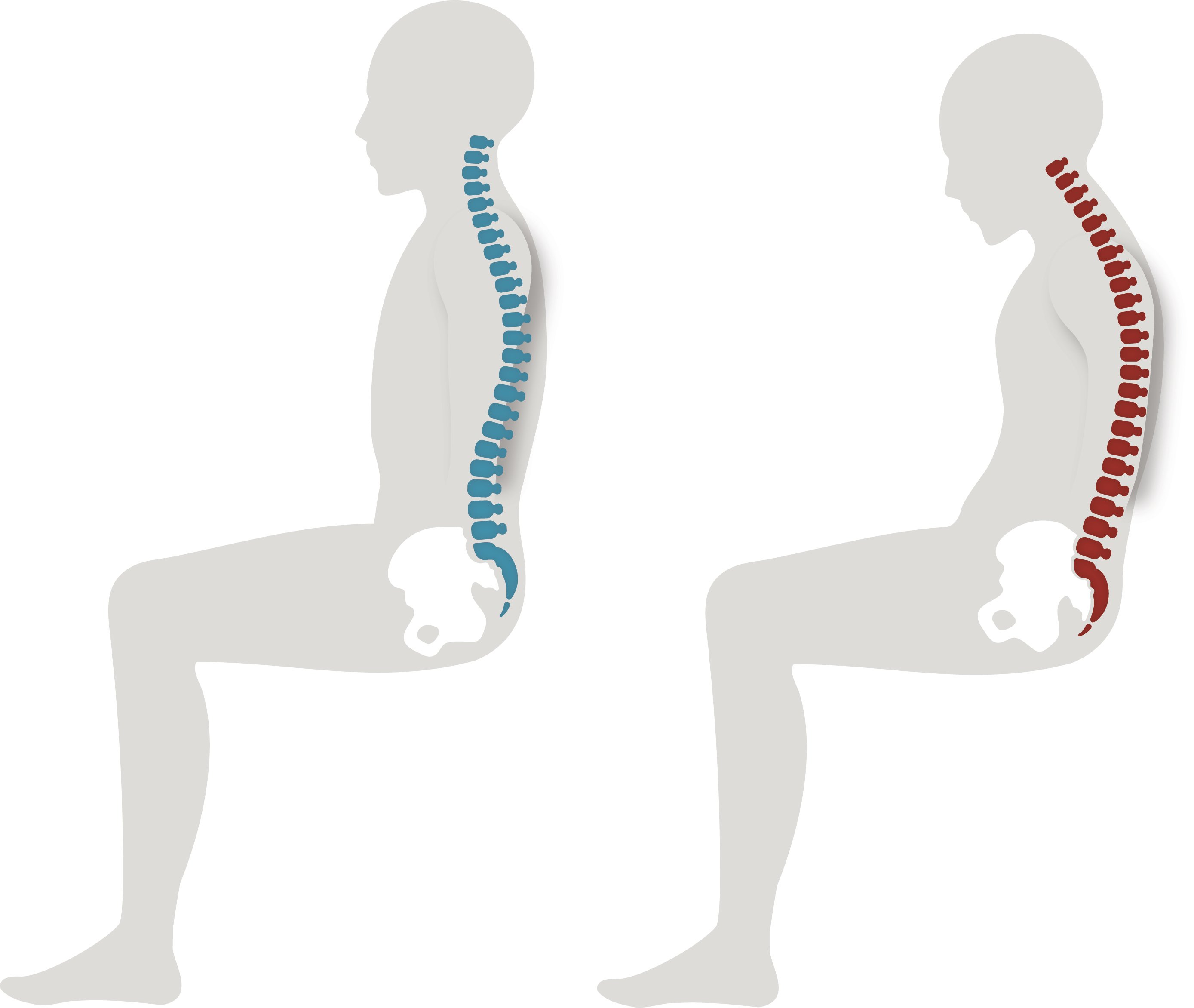 Anthros_S&C_Curves_Sitting (1)