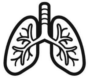 Lung-img