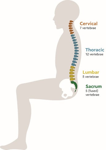 Spinal-stenosis-img2