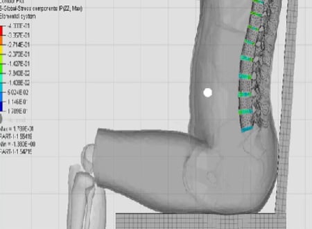 backbone-posture