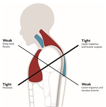 efficiently-bodies-img