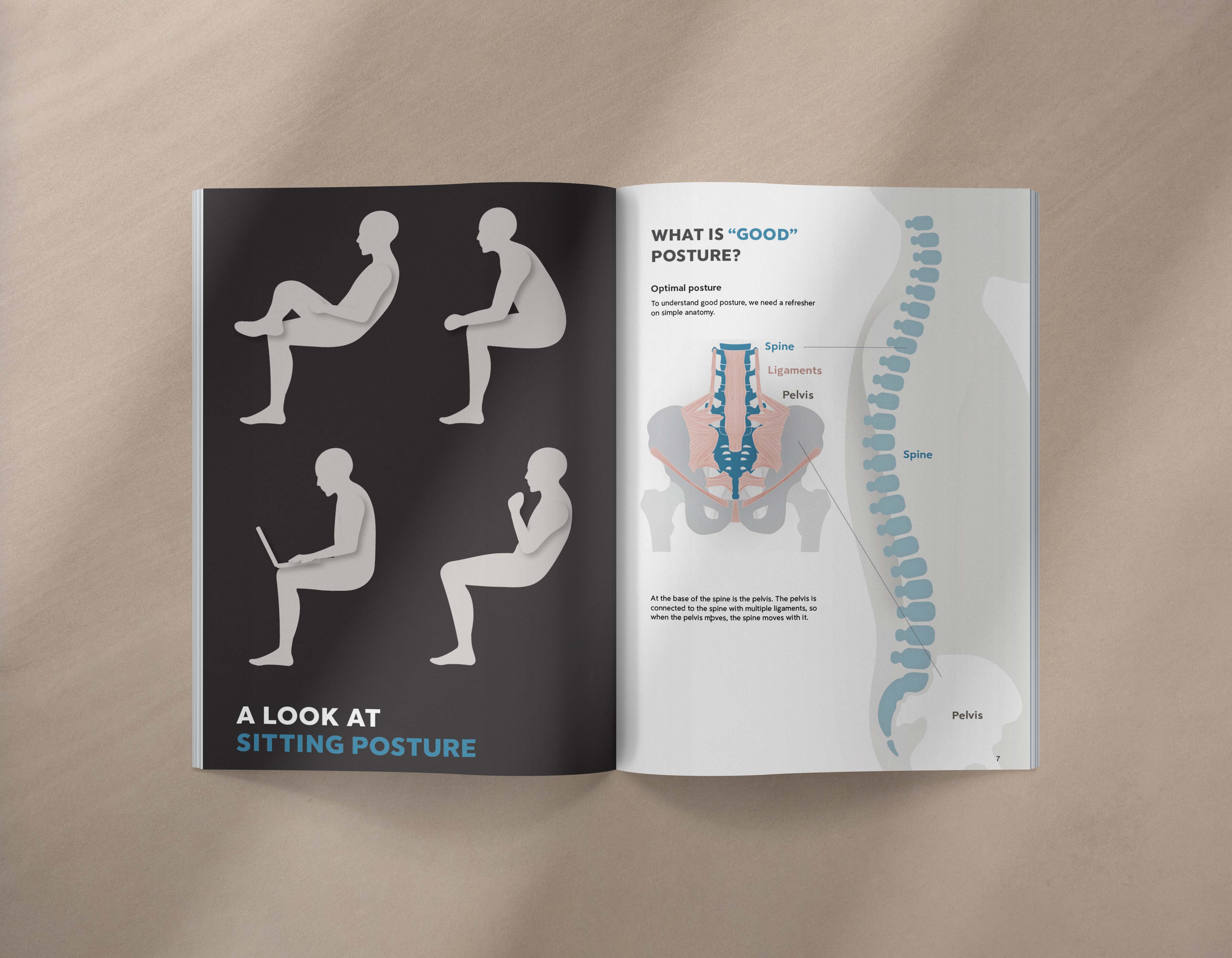 The Best Chair for Piriformis Syndrome