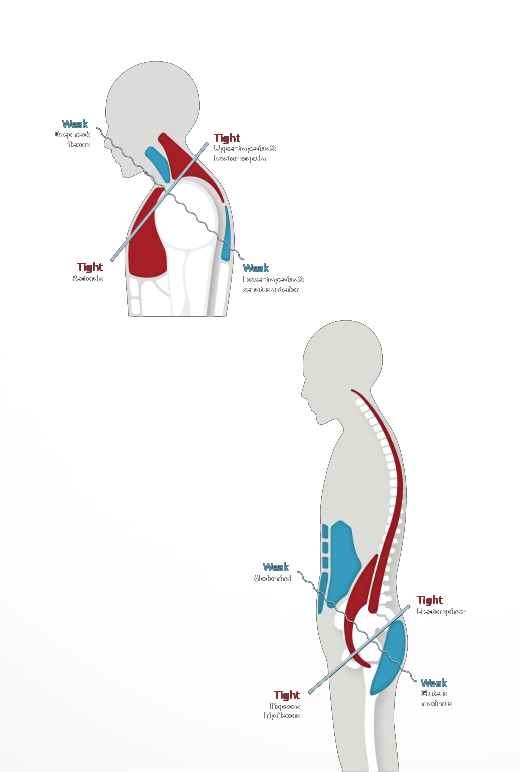 Sitting Posture Affects Standing Posture