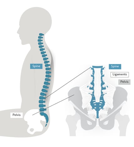 What is Lumbar Support? Everything you Need to Know