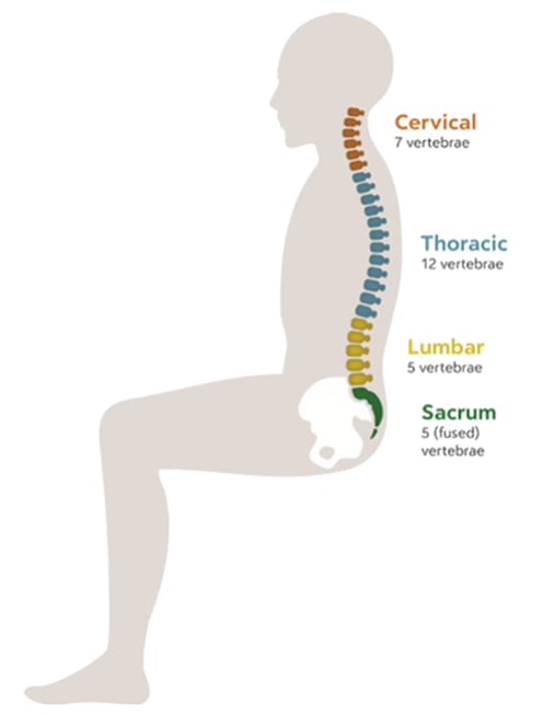 lumbar-img_2