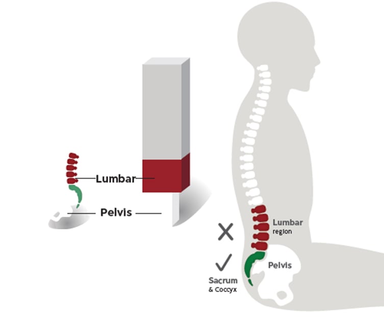 lumbar-support-img