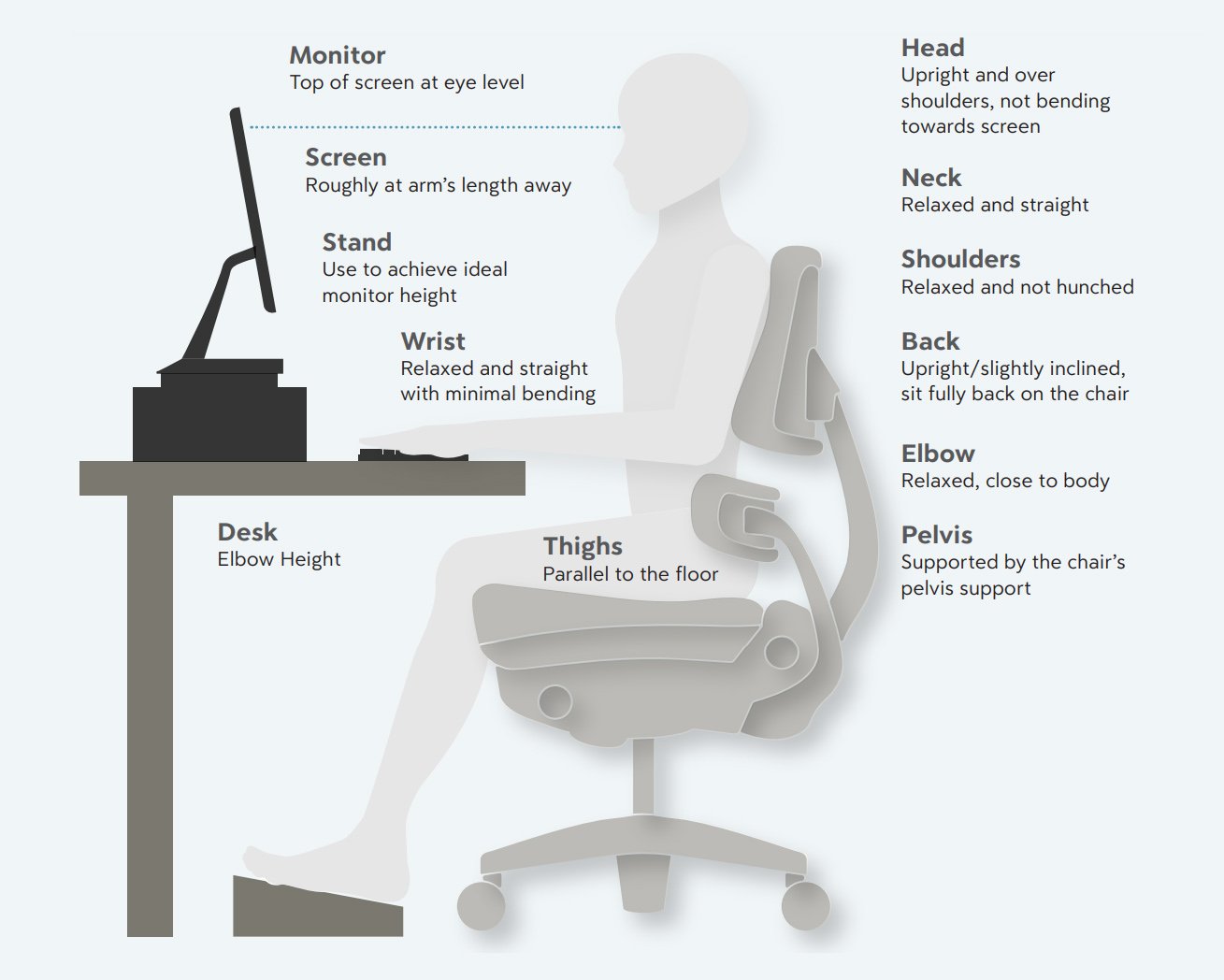 How Important is Core Stability While Sitting At Work? - Symbiotic Chair