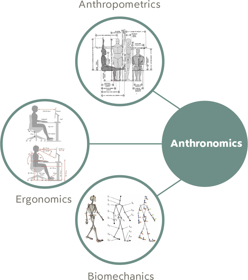 anthronomics-img